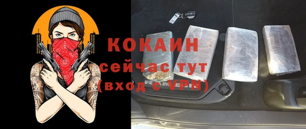 прущие грибы Елизово