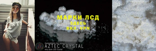 прущие грибы Елизово