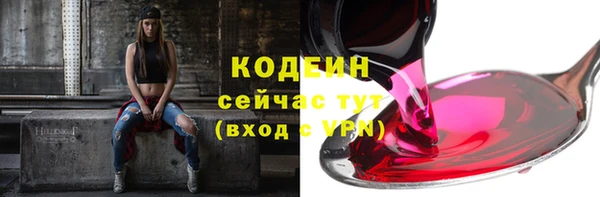 прущие грибы Елизово