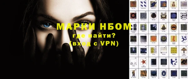 прущие грибы Елизово