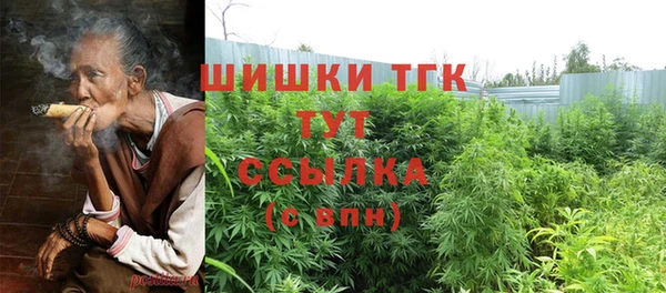 прущие грибы Елизово