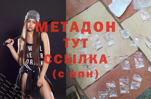 прущие грибы Елизово