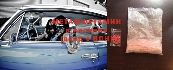 прущие грибы Елизово