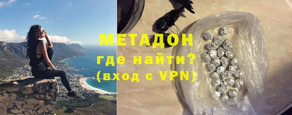 прущие грибы Елизово