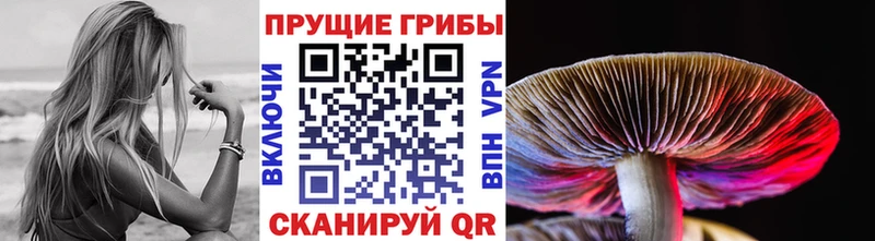 наркотики  Заводоуковск  Псилоцибиновые грибы мухоморы 