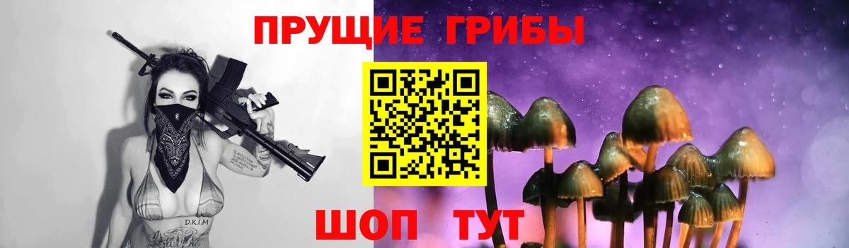 Псилоцибиновые грибы Psilocybine cubensis  Галлюциногенные грибы мухоморы  Вход с VPN  цены наркотик  Заводоуковск 