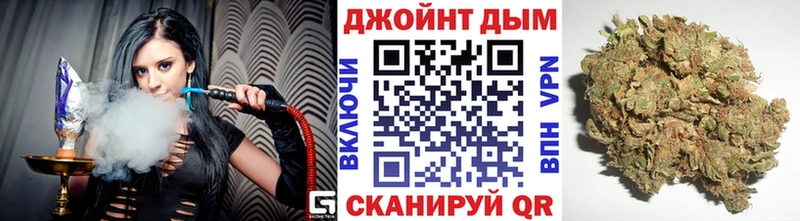Бошки Шишки план  Заводоуковск 