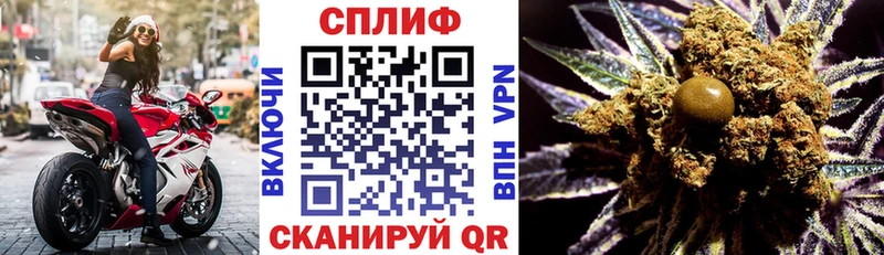 Бошки Шишки план Заводоуковск