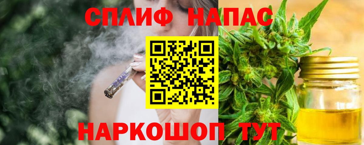 Бошки Шишки планчик Заводоуковск
